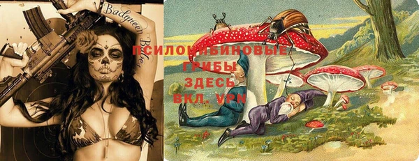 мет Богданович