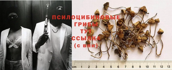 мет Богданович
