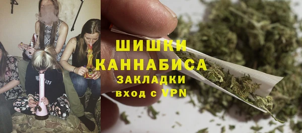 стаф Бронницы